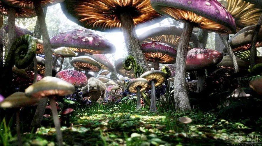 幻想纹章3.2